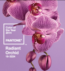 radiant orchid pantone