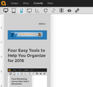 Tools to help organize for 2016 with Screenfly screen capture of branding and marketing